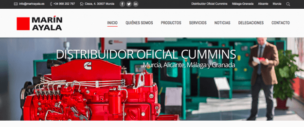 WEB Marín Ayala Cummins