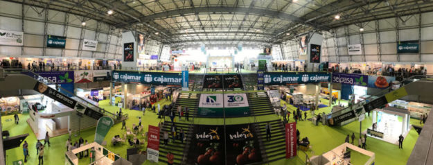 Marín Ayala | Distribuidor oficial Cummins